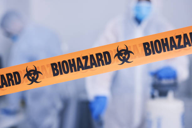Professional Hoarding Cleanup technician working in Bodfish, CA